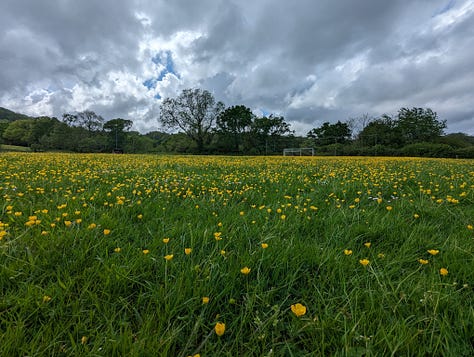 landscape photos from Devon