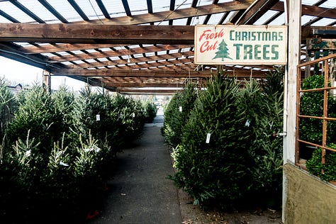 Images of Christmas trees in sales lots, in piles, and in a boat 