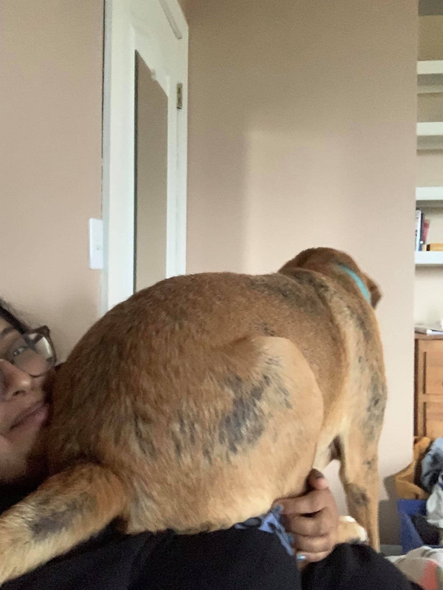 No description available.