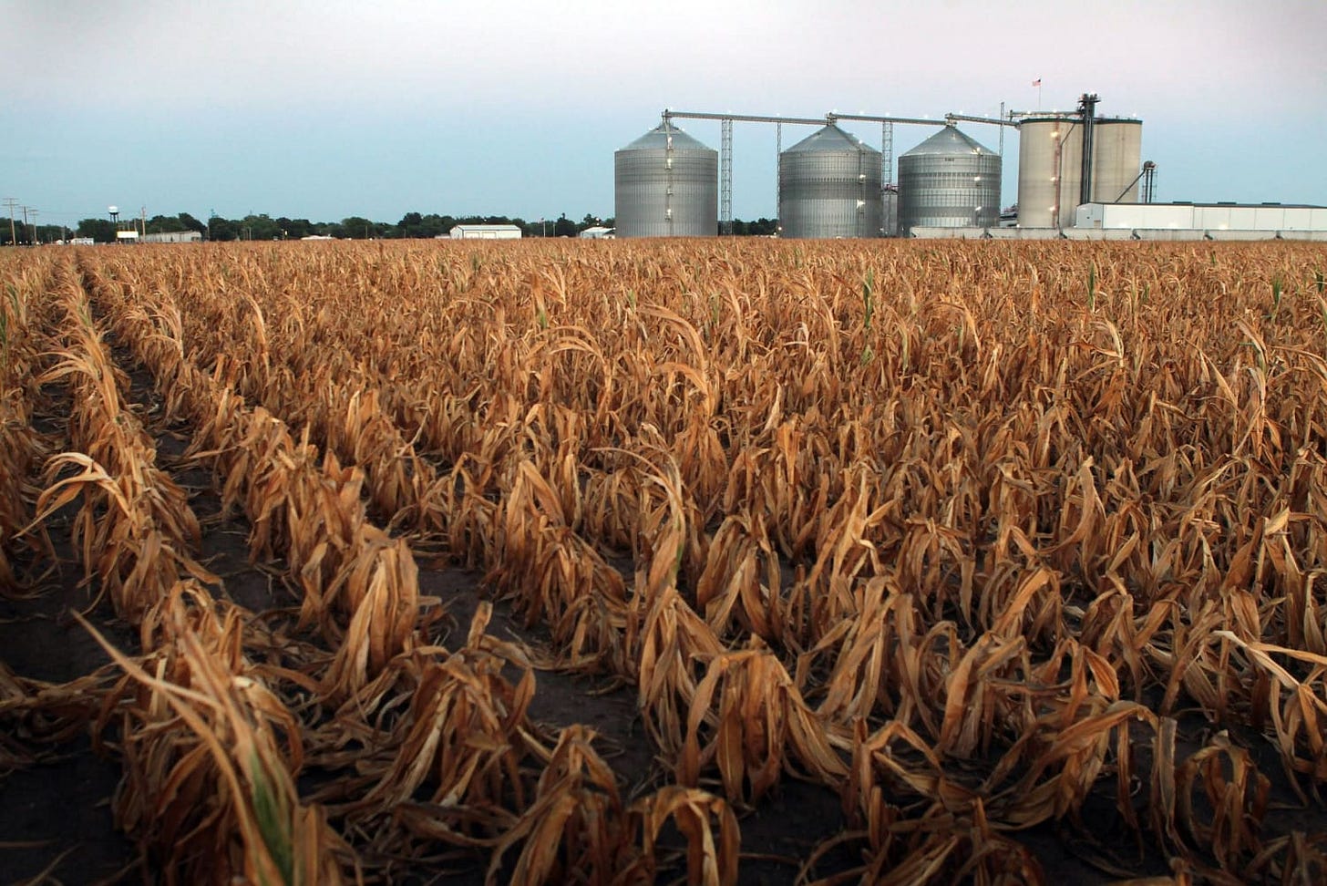 Field of (Bad) Dreams: Increased Drought Takes Toll on Midwest Corn Field of (Bad) Dreams: Increased Drought Takes Toll on Midwest Corn