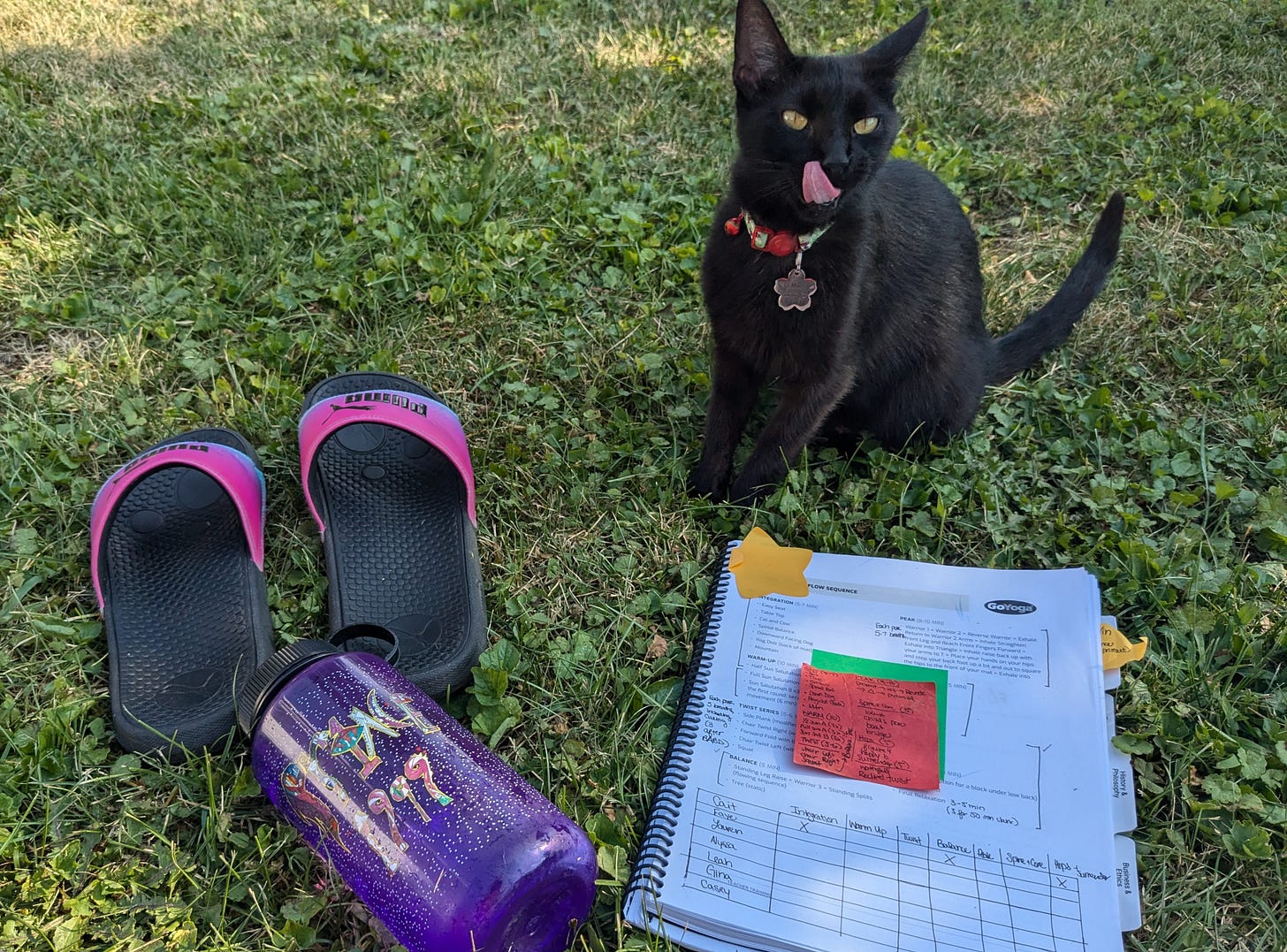 A pair of pink flip flops, a purple water bottle, a workbook with post it notes, and a black cat with its tongue sticking out all in the grass