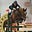 gallopingthrough's avatar