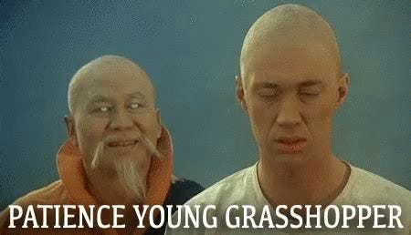 Patience Grasshopper GIFs | Tenor