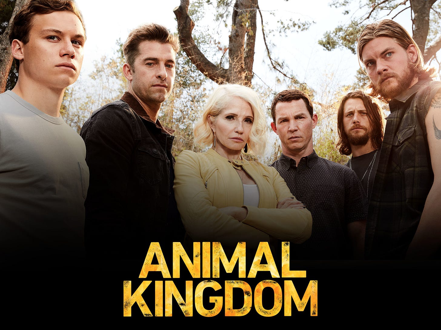 Prime Video: Animal Kingdom: Season 1