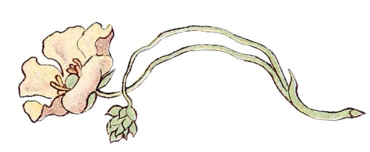 This may contain: a drawing of a flower with long green stems and two flowers on each side of the stem