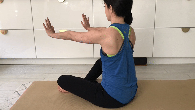 A woman with brown hair and a blue tank top performs a seated serratus push-up. A woman with brown hair and a blue tank top performs a seated serratus push-up.