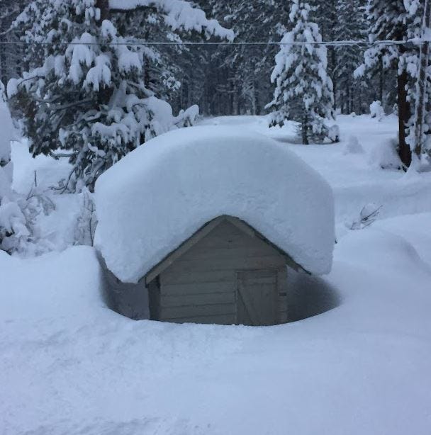 snow-covered shed