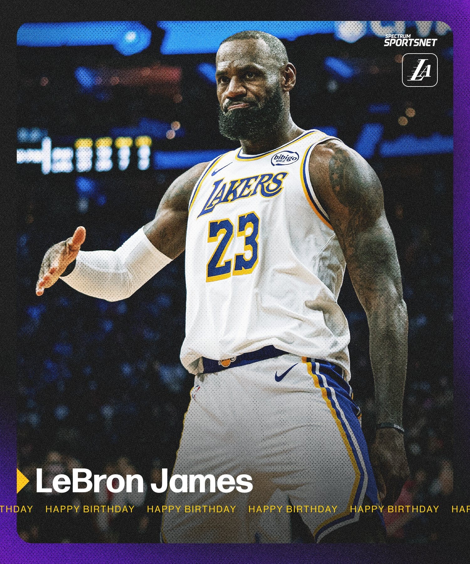 lebron james gray