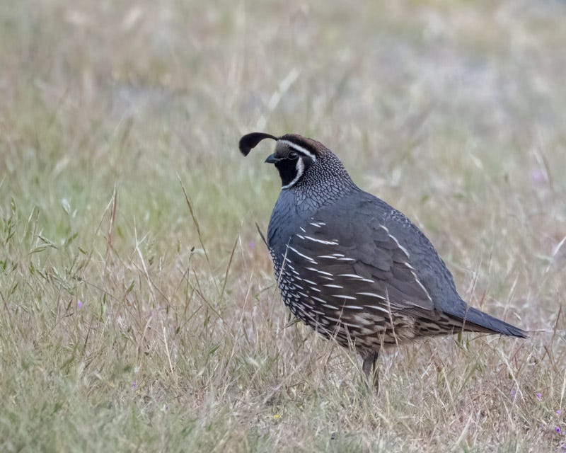 20250610-SJI-363-Edit.jpg 20250610-SJI-363-Edit.jpg