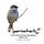 Sparrowtracts