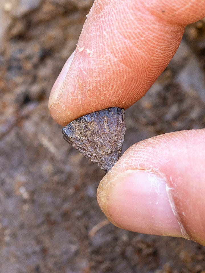 A heat-shattered handaxe found adjacent to the 400,000-year-old campfire site; a first fragment of iron pyrite found there in 2017.Credit...Jordan Mansfield/Pathways to Ancient Britain Project