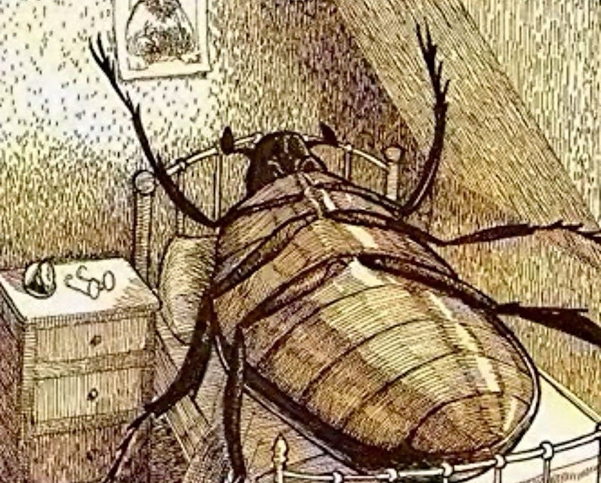 The Metamorphosis by Franz Kafka The Metamorphosis by Franz Kafka