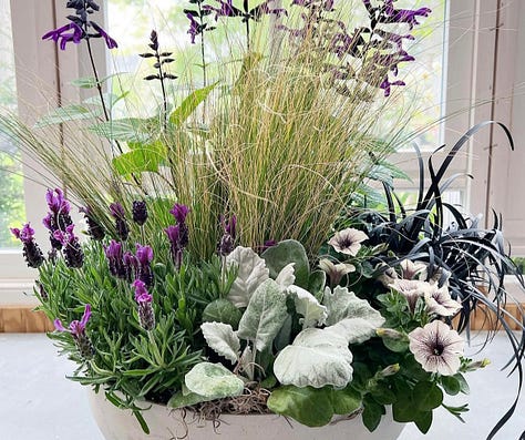 3 Easy Summer Container Garden Recipes - by Susan Nock