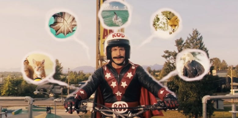 The Quarantine Stream: The Movie Is 'Hot Rod', And It Likes To Party