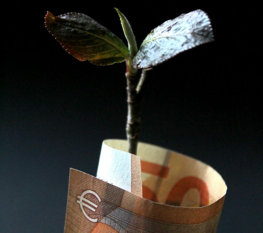 brown and white paper bag