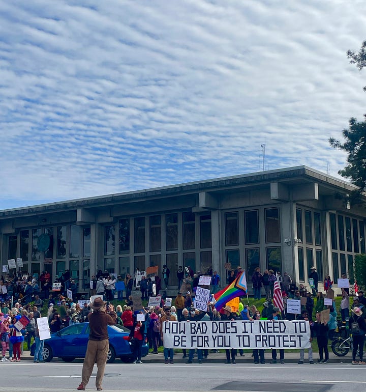 Signs say "I could shit a better president," large crowd and sign says: "how bad does it need to get for you to protest?" Sign says: Fuck this shit. Sign says: "Is Trump still president, asked Piglet. Yes, replied Poo. Fuck, said Piglet.