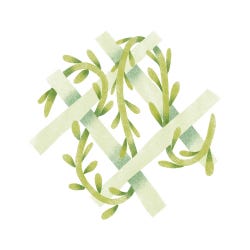 A Habit Called Faith