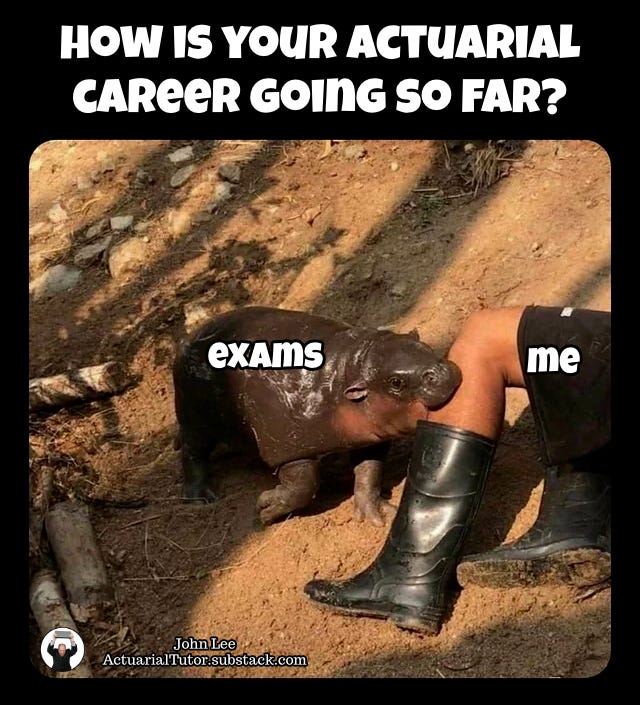 How's your actuarial career going so far?