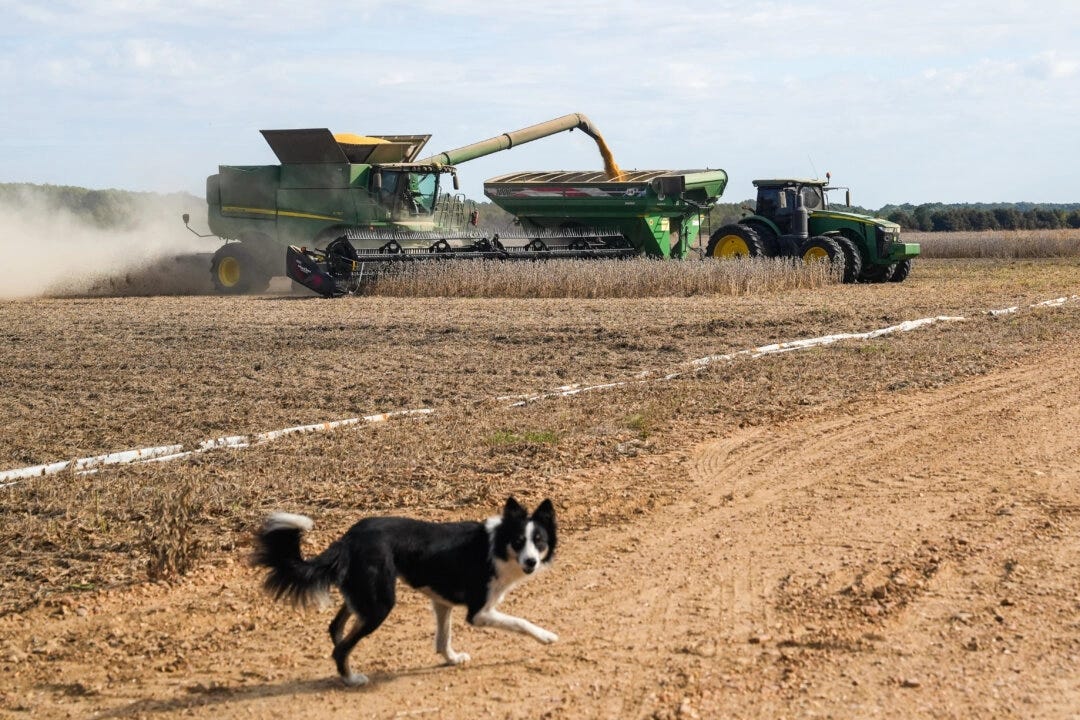 Government Money vs. the Individual — Ditch the Subsidies, Grow [and Do] What Actually Works.