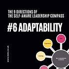 The 9 Directions of The Self-Aware Leadership Compass: #6 - Adaptability