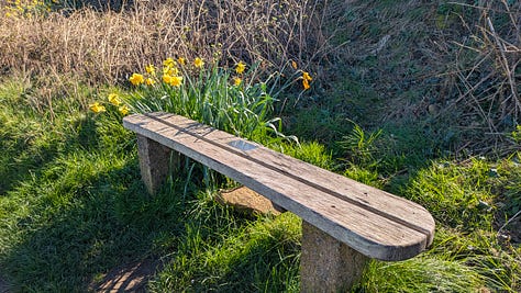benches
