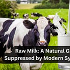 Raw Milk: A Natural Gift Suppressed by Modern Systems