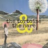 the tortoise & the hare