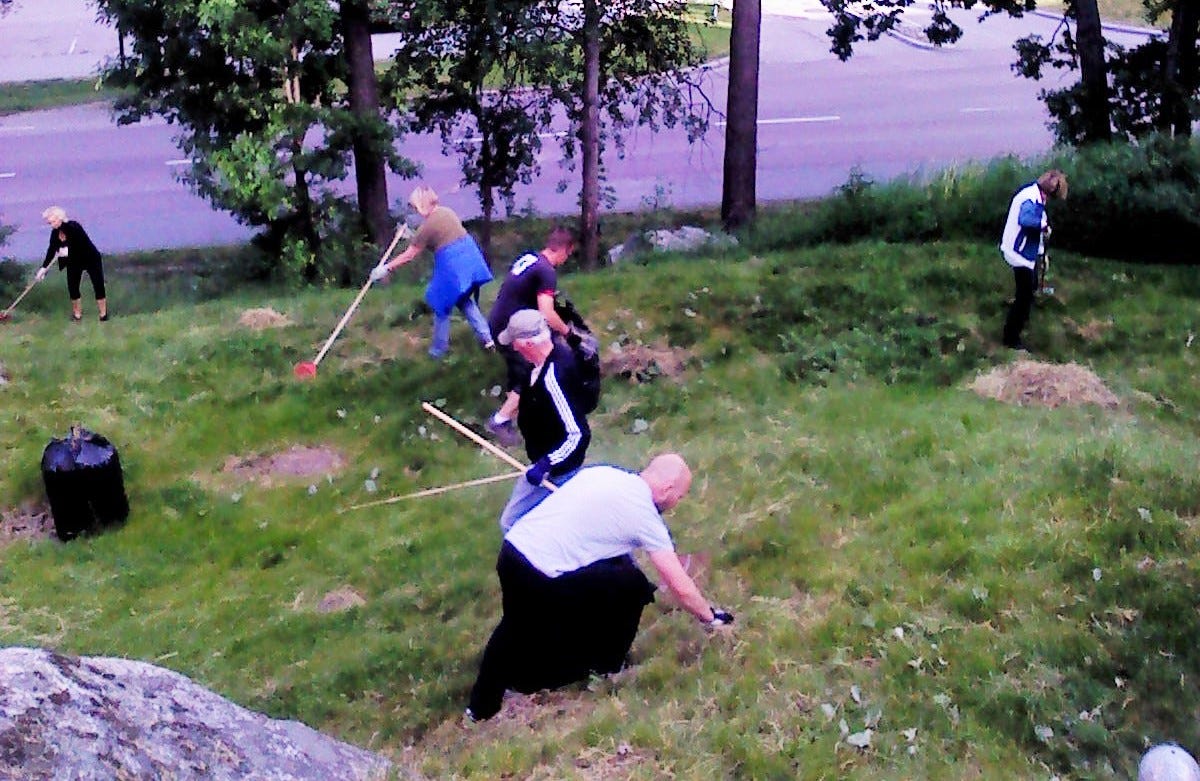A group of people on a grassy verge doing garden work A group of people on a grassy verge doing garden work