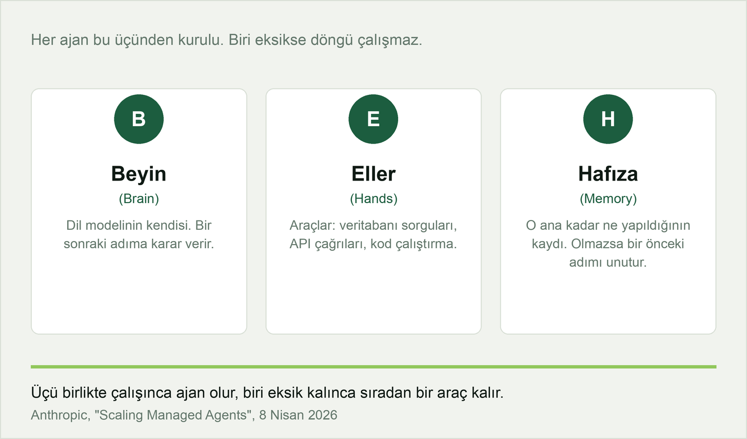 Üç kart: Beyin karar verir, eller uygular, hafıza hatırlar. Biri eksik kalınca ajan sıradan bir araca döner. Ajanın üç parçası: Beyin, dil modelinin kendisi, bir sonraki adıma karar verir. Eller, araçlar: veritabanı sorguları, API çağrıları, kod çalıştırma. Hafıza, o ana kadar ne yapıldığının kaydı.