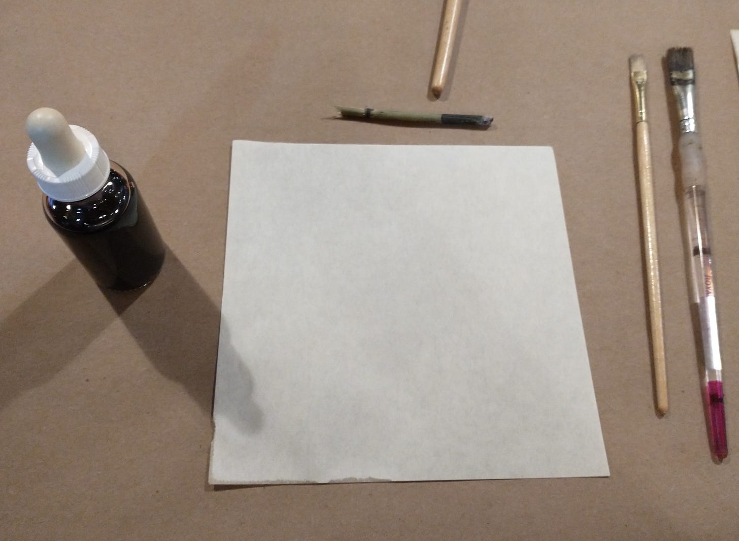 Photo of a dropper bottle of ink, paper, twig, and brushes on a table with craft paper on it
