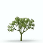 Going Green Newsletter's avatar