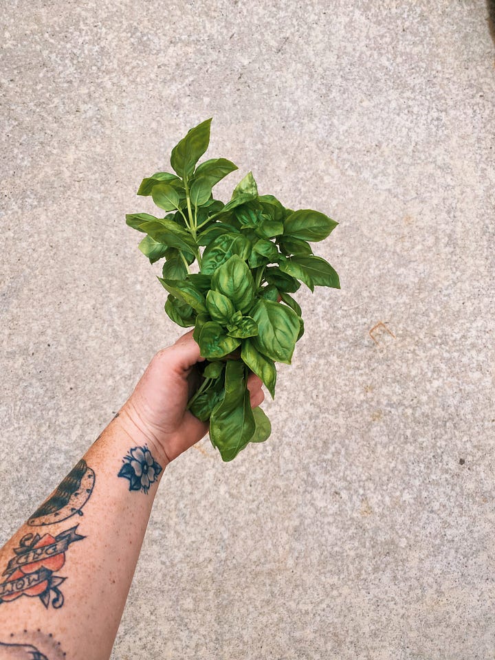 veggies from a garden