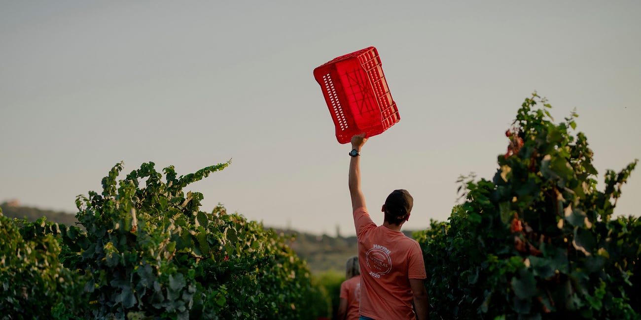 Wineries in Their Own Words