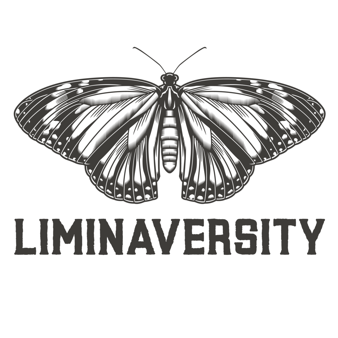 Liminaversity
