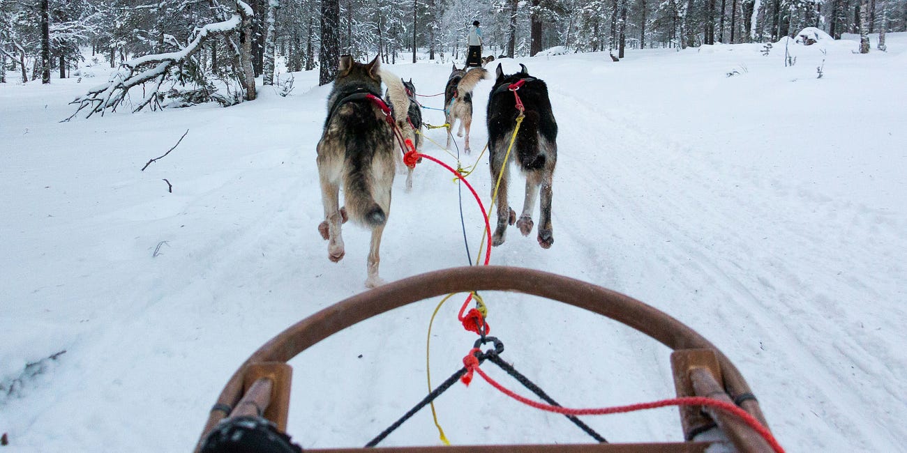 Building a Brand is Like Driving a Dog Sled