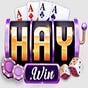 Haywin's avatar