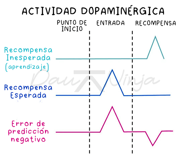 sistema de recompensa cerebral dopamina