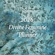 2026 Divine Feminine Planner