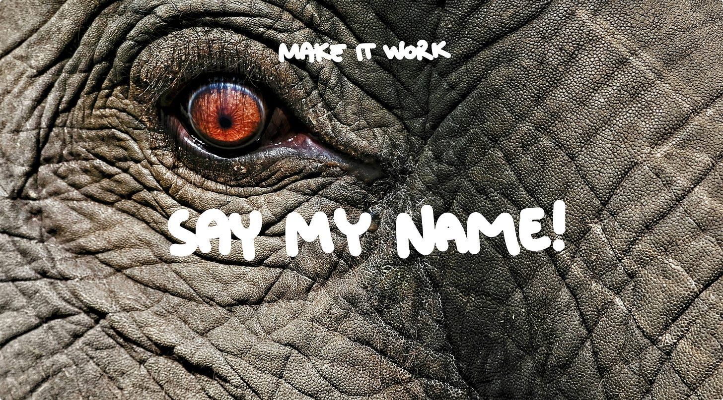 Extreme close-up of an elephant’s eye with textured gray skin and the overlaid text ‘Say my name!’