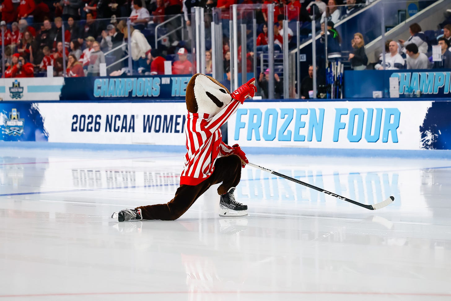 Wisconsin Badgers mascot Bucky Badger points up toward Wisconsin fans while skating on the ice. Boards behind him read "2026 NCAA women's Frozen Four" Wisconsin Badgers mascot Bucky Badger points up toward Wisconsin fans while skating on the ice. Boards behind him read "2026 NCAA women's Frozen Four"