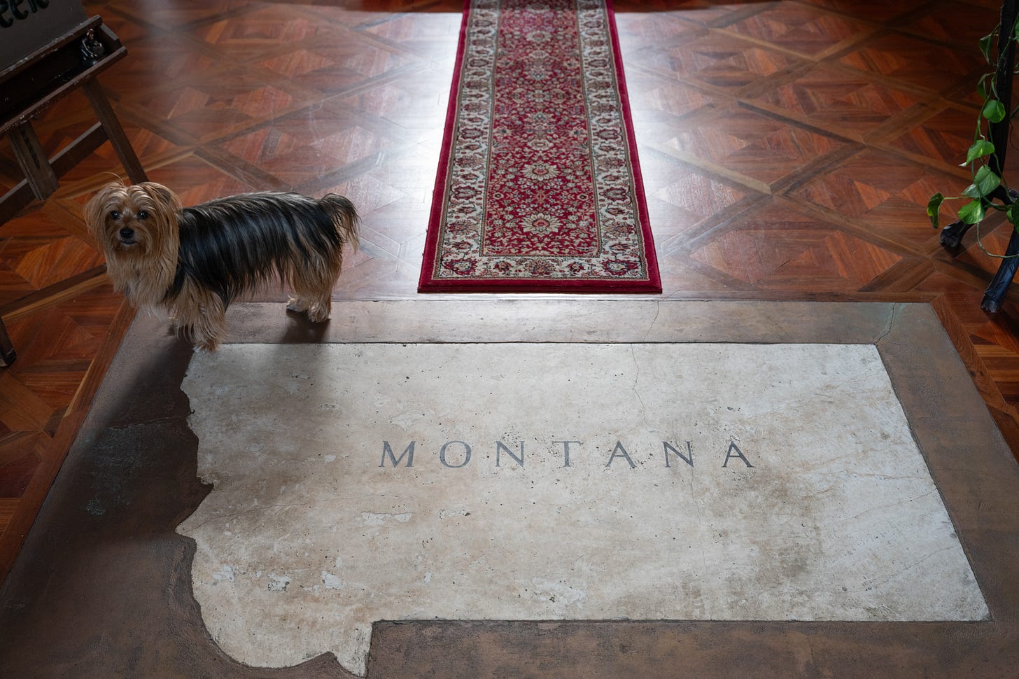 The DePuy’s foyer–Paradise Valley, MT.