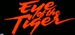 Channel Tiger 