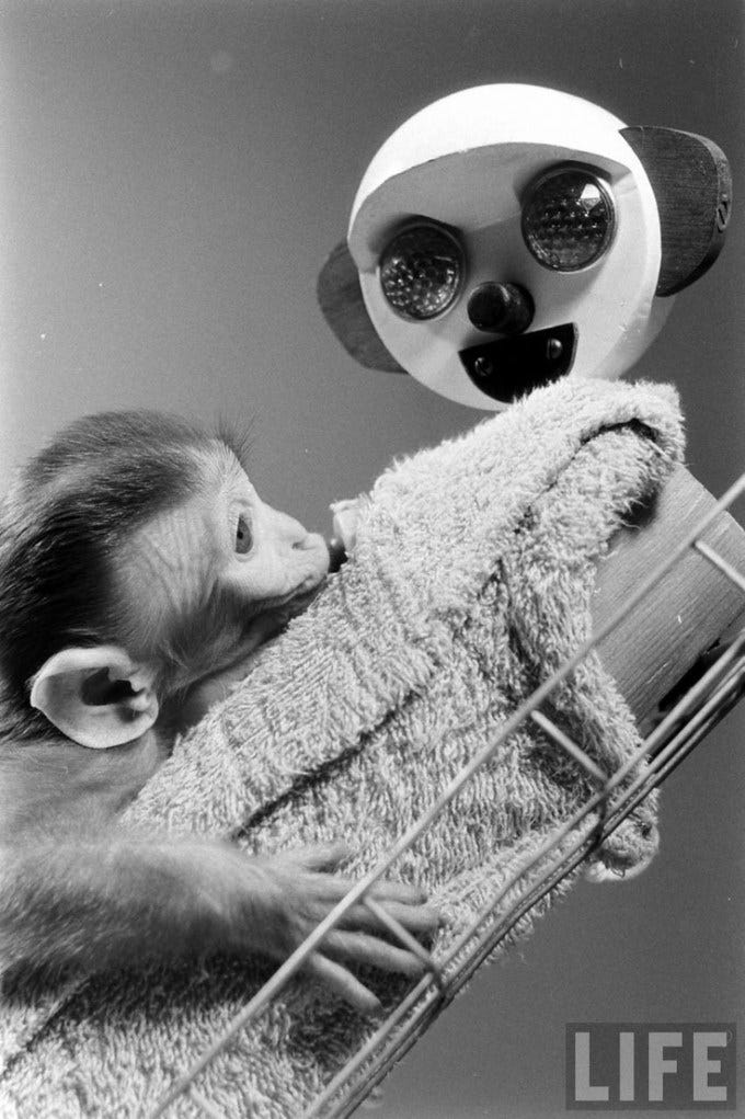 One of Harlow's baby rhesus monkeys with its wire-and-cloth mother