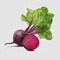Beetroot Sandsoil's avatar