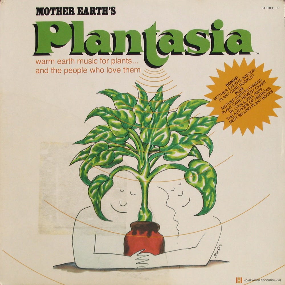 洋楽 Mort Garson / Mother Earth's Plantasia A Very Special Care Booklet: Mort Garson's 'Mother Earth's Plantasia'