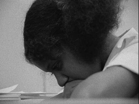 Os Filmes de Frederick Wiseman - Pablo Villaça