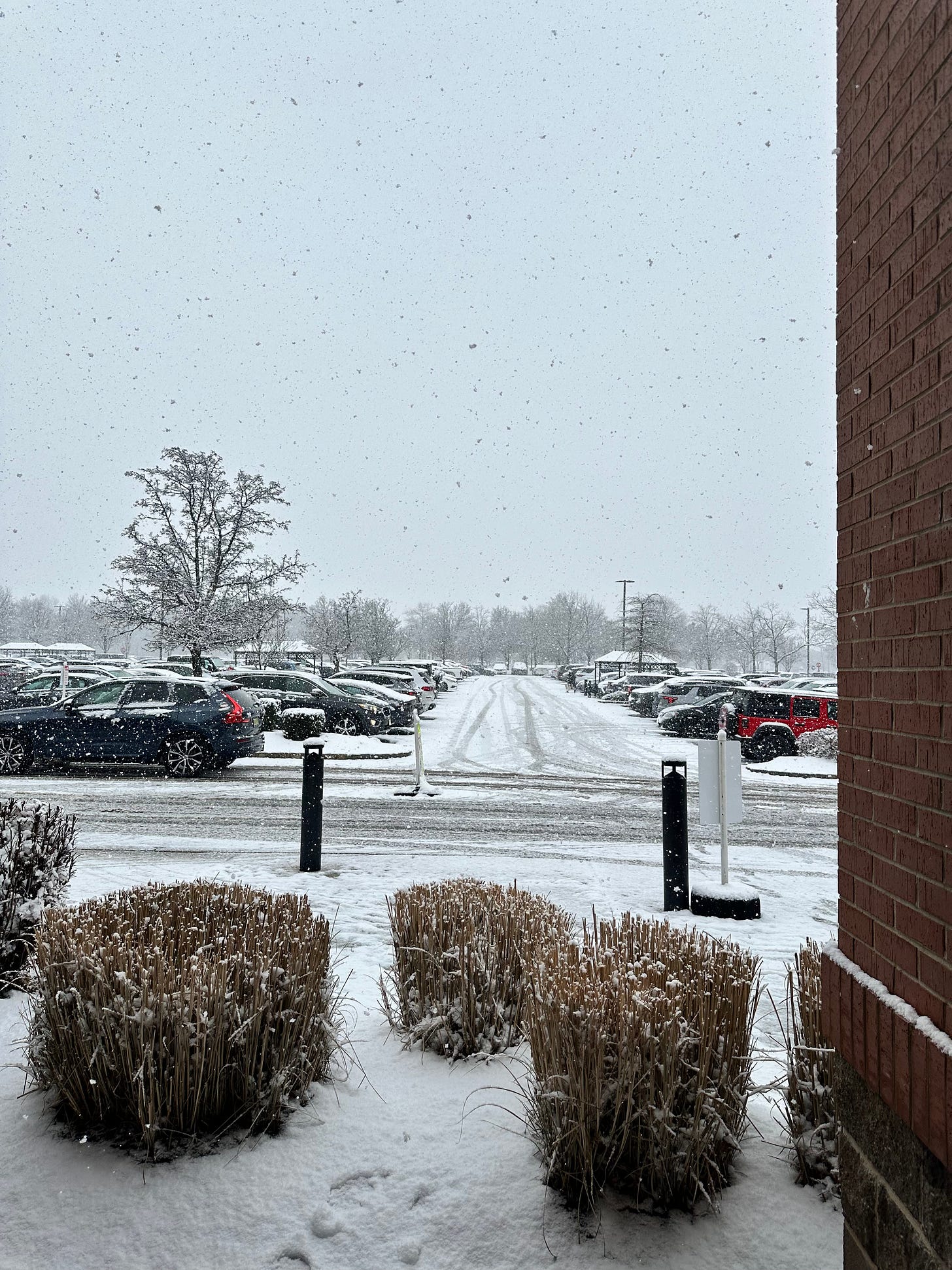 heavy snowfall and a snow covered parking lot