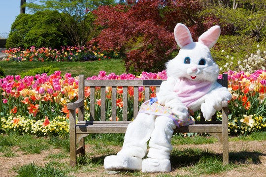Easter Bunny Costume Images – Browse 85,545 Stock Photos, Vectors, and  Video | Adobe Stock
