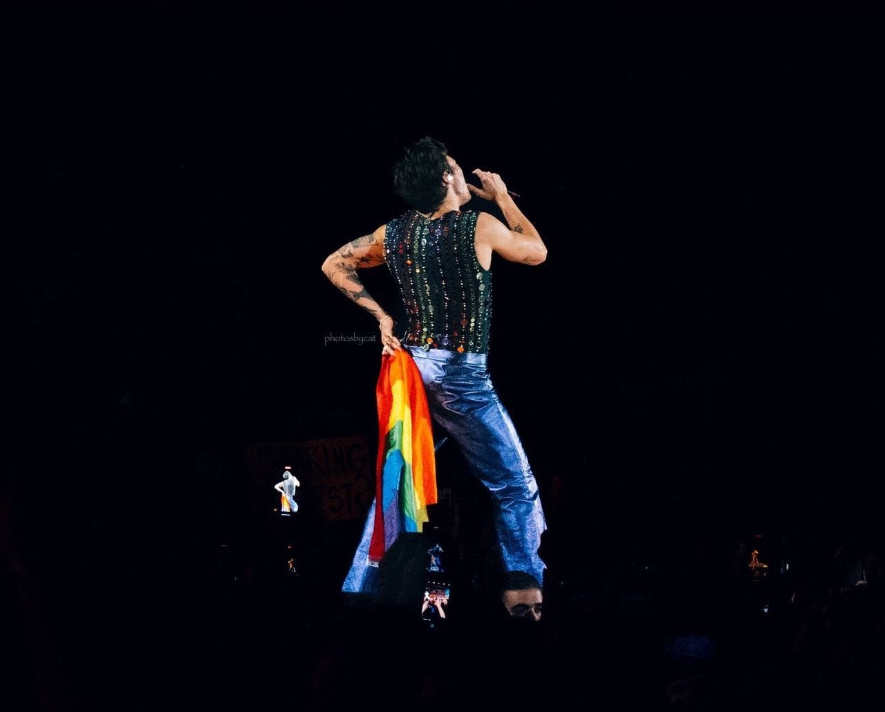 Harry Styles being Gay