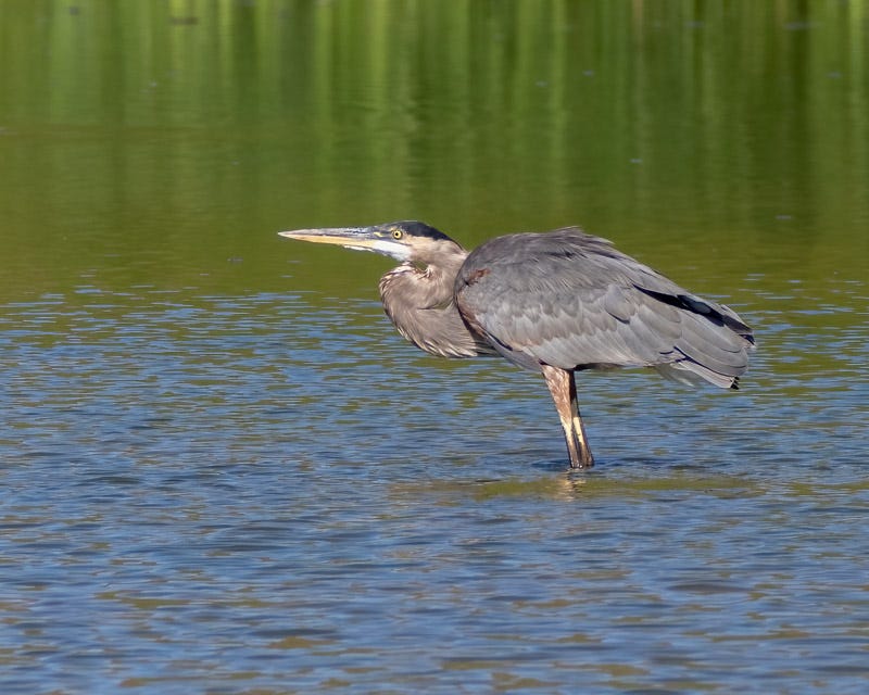 20250818-ElRio-201-Edit.jpg 20250818-ElRio-201-Edit.jpg